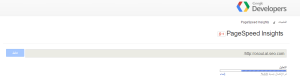 PageSpeed Insights3