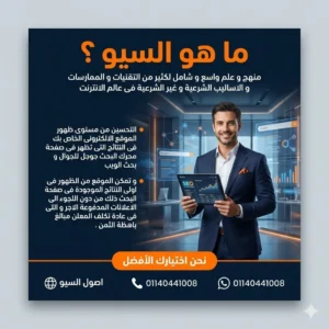 ما هو السيو ؟