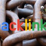 البيج رانك وتأثيرة على الموقع